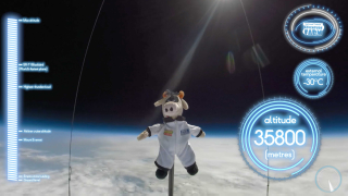 Fluid Ideas helps send cow into space